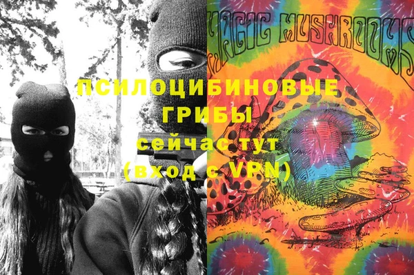 гашик Богданович