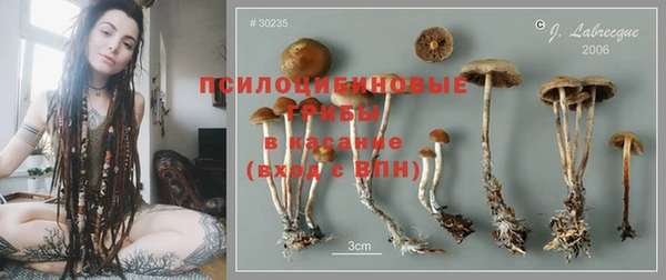 таблы Богородицк