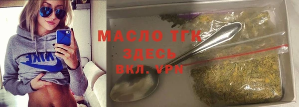 гидра Богородск