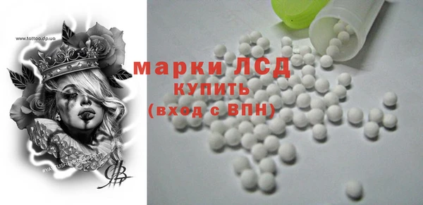 гашик Богданович
