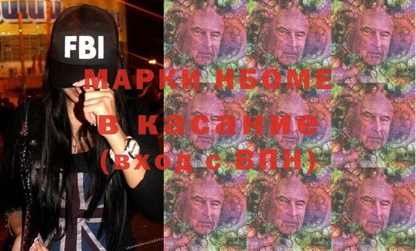 гидра Богородск