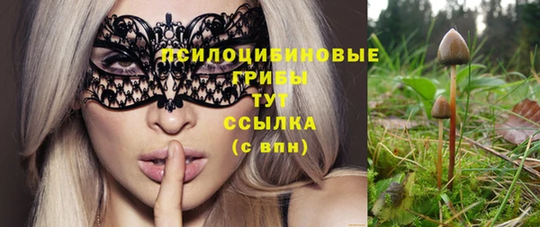 гашик Богданович