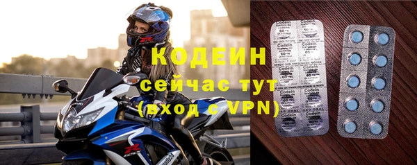 гашик Богданович