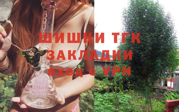 гашик Богданович