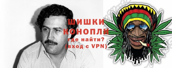 гидра Богородск