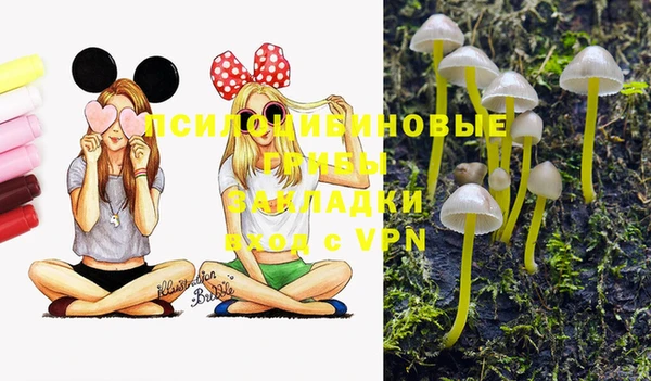гашик Богданович
